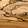 Spalted wood